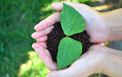 不朽情缘_首页官网入口